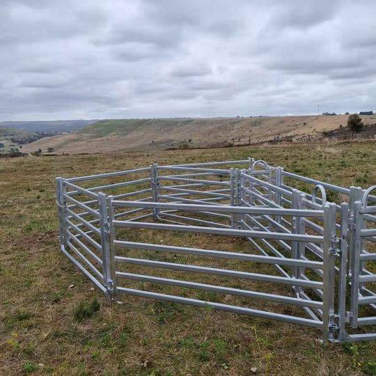 15 Head Sheep Yard Design Sheep Loading Ramp Sheep Crush Sheep Panel ...