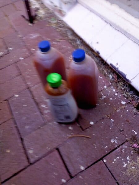 WORM JUICE 6 LTR GOOD FOR PLANT/ VEGETABLE GARDEN P/UP SORRENTO $5 ...