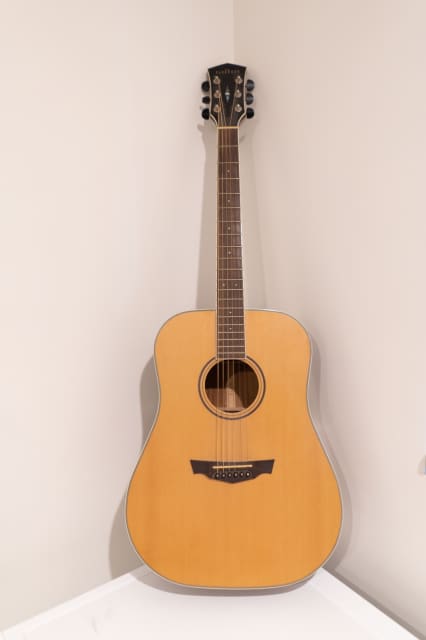 parkwood pw310m dreadnought acoustic guitar