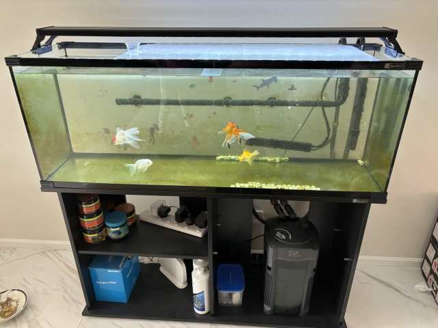 Fish tank for sale Pet Products Gumtree Australia Wyndham Area