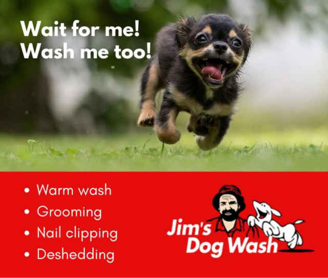 PartTime Mobile Dog Groomer job position Other Jobs Gumtree