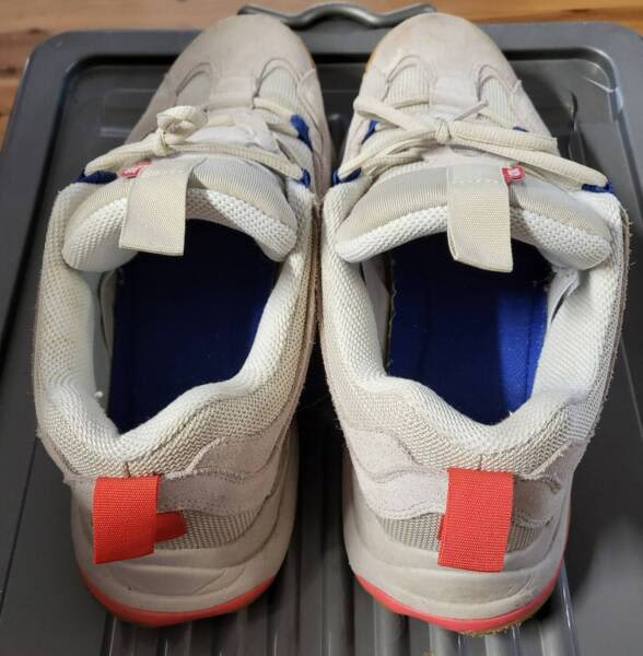 MENS US14 GLOBE OPTION EVO SKATE SHOES Men's Shoes Gumtree Australia Wollongong Area