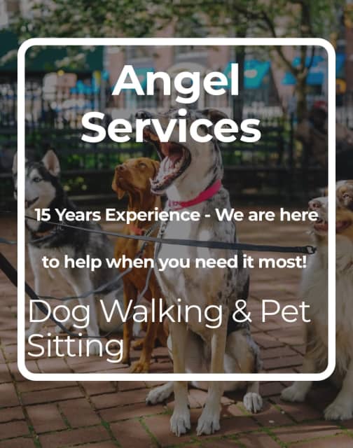 Pet Sitters and Pet Walkers in time for Holidays Sitting Gumtree
