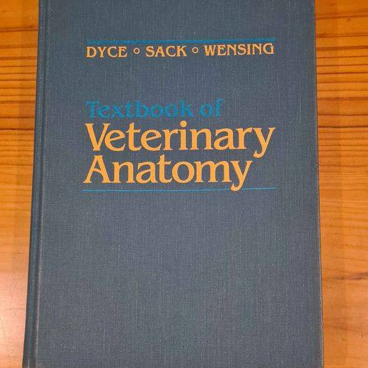 Veterinary Anatomy Textbook Other Books, Music & Games Gumtree