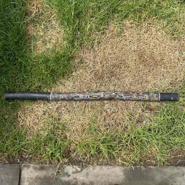 Indigenous Australian Aboriginal Artwork Didgeridoo Snakes & Lizards