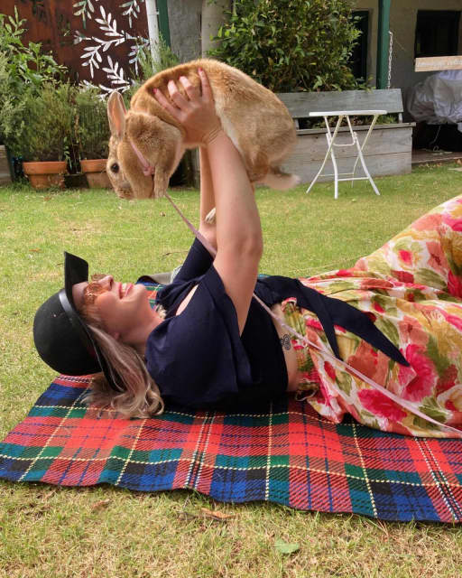 House and Pet sitting Sitting Gumtree Australia Hobart City