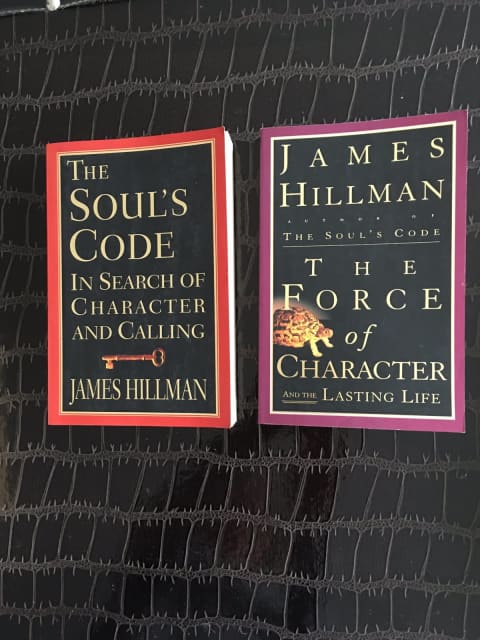 The Soul's Code: In Search of Character by Hillman, James