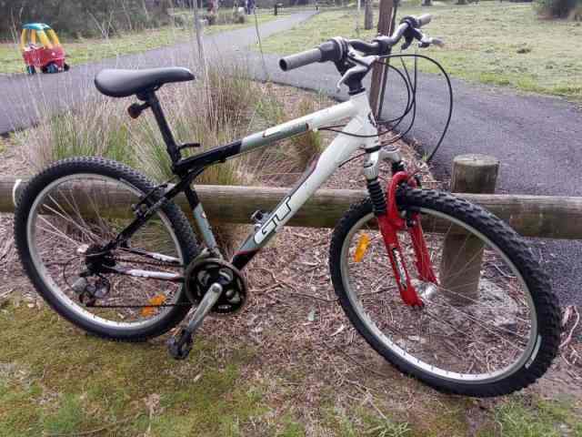 dbx resonance bike 24