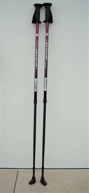 Exerstrider poles best sale