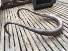 bale hooks  Gumtree Australia Free Local Classifieds