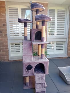 Cat 2024 tower gumtree