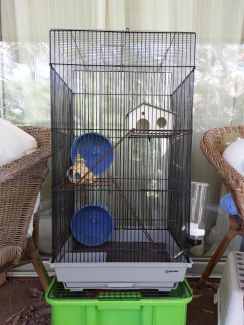 Mouse cage ball and play habitat Pet Products Gumtree