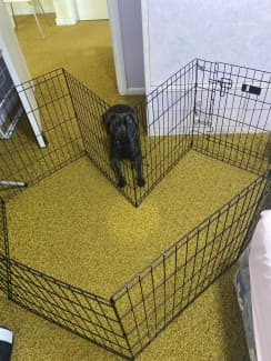 Dog pen clearance petbarn