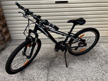 raven 24 inch bike