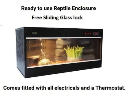 Reptile enclosure sale thermostat