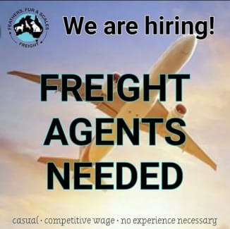 Freight Agents needed in Alice Springs NT.(ALICE SPRINGS) Darwin Region Preview