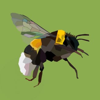 Bumblebee Digital