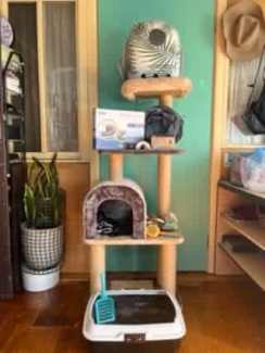 Gumtree cat tower best sale