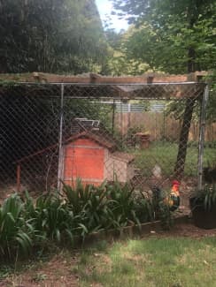 Gumtree pet hot sale enclosure