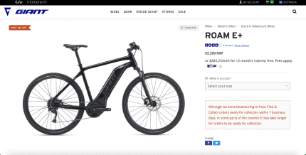 2021 giant roam e 