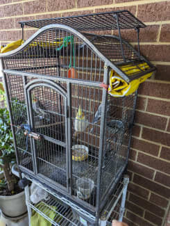 Cockatiel cheap cage gumtree