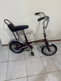 budgie bike purple