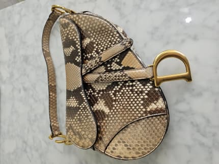 Dior saddle bag online python