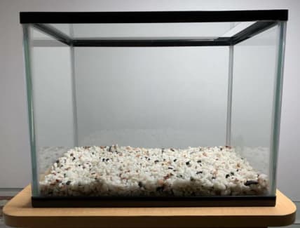 Fish Tank Aquarium with Gravel 13L water capacity 31x18x24cm