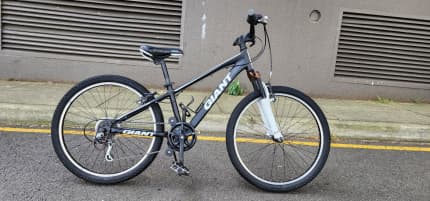 Giant 2025 xtc 225