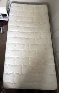 sealy zeus mattress