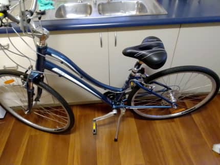 women's giant 21 speed bike