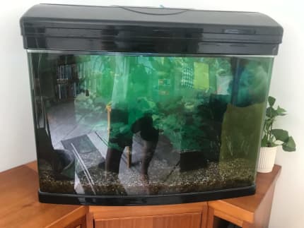 85 Gallons Fish Tanks And Aquariums 