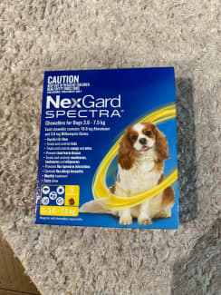 Nexgard Spectra Chewables for Dogs 3.6-7.5 kg (Pack of 6) : :  Pet Supplies