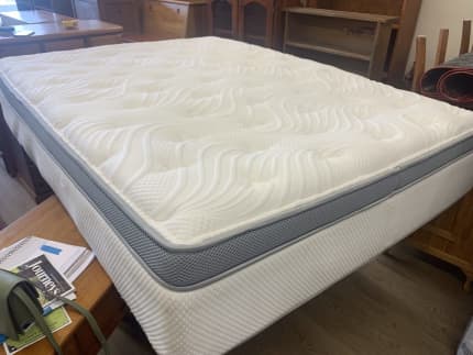 sealy cirrus mattress