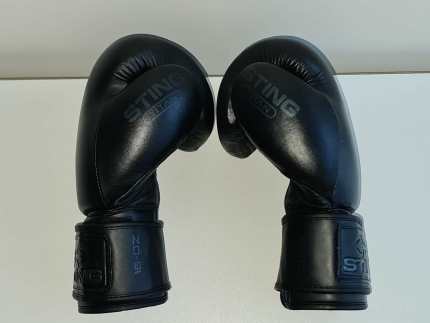 Sting titan boxing store gloves