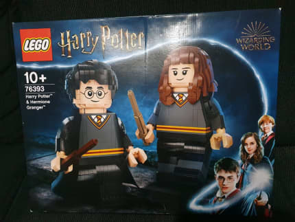 LEGO Harry Potter Harry Potter e Hermione Granger 76393