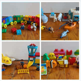 Store Duplo Lot