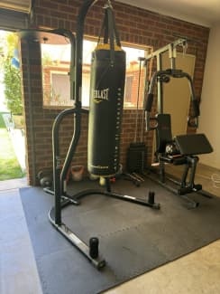 Everlast heavy bag stand pull up bar hot sale