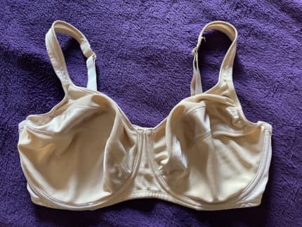 Hestia minimiser bra 14E Nude, Socks & Underwear, Gumtree Australia Logan  Area - Regents Park