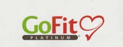 Go fit platinum online gold treadmill