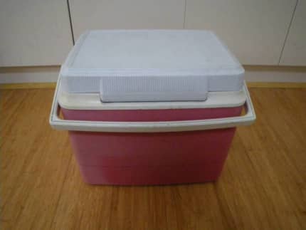 Rubbermaid esky sale