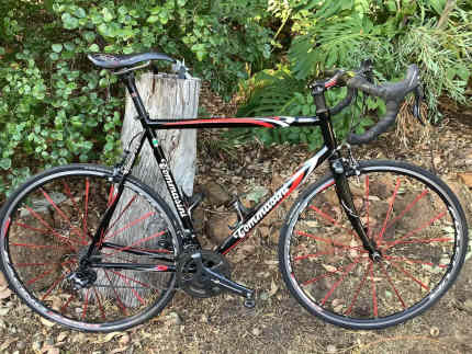 Tommasini sale mach titanium