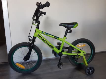 Dinosaur 12 inch online bike