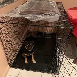 Puppy crate gumtree best sale