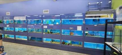 Fish Tank Rack (retail display/ shop display), Fish