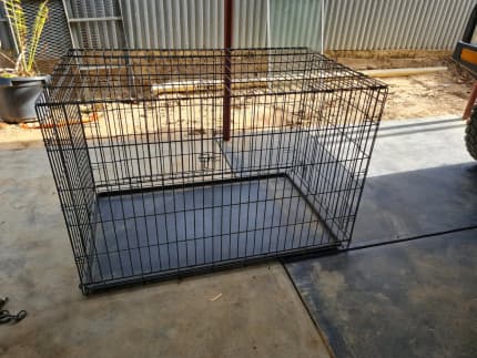 dog cage used