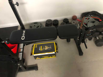 Celsius discount weight bench