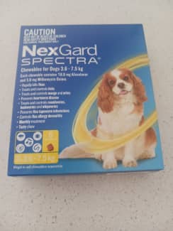 Nexgard sales spectra yellow