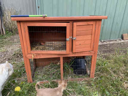 Gumtree guinea pig hutch best sale