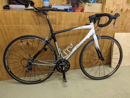 Giant road bike discount gumtree